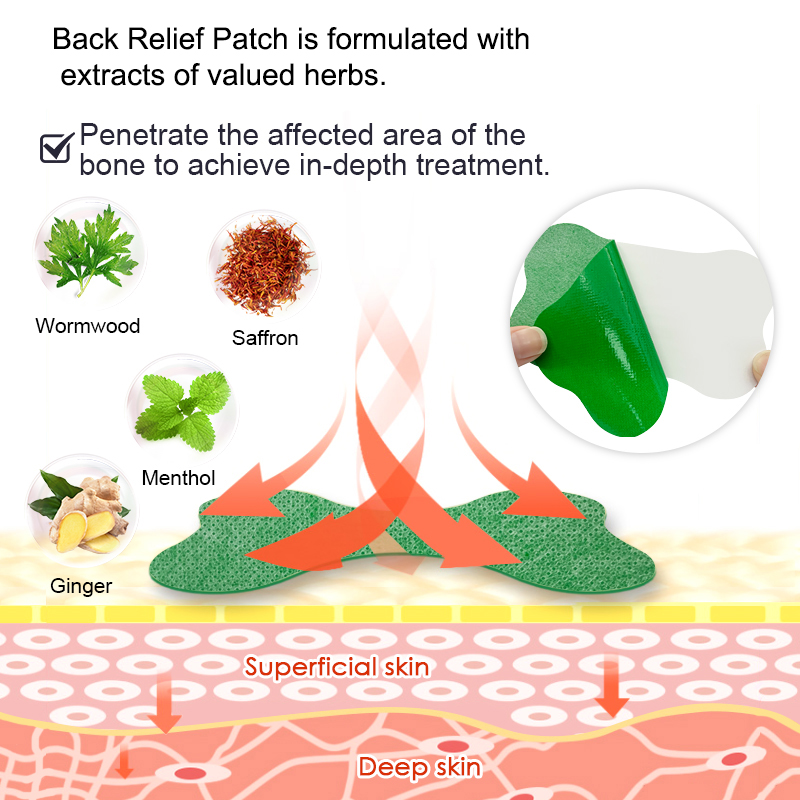 60/6 個腰痛パッチよもぎ石膏脊椎症痛み漢方薬医療ステッカ - Herbal Wellness Patches のレビューと価格