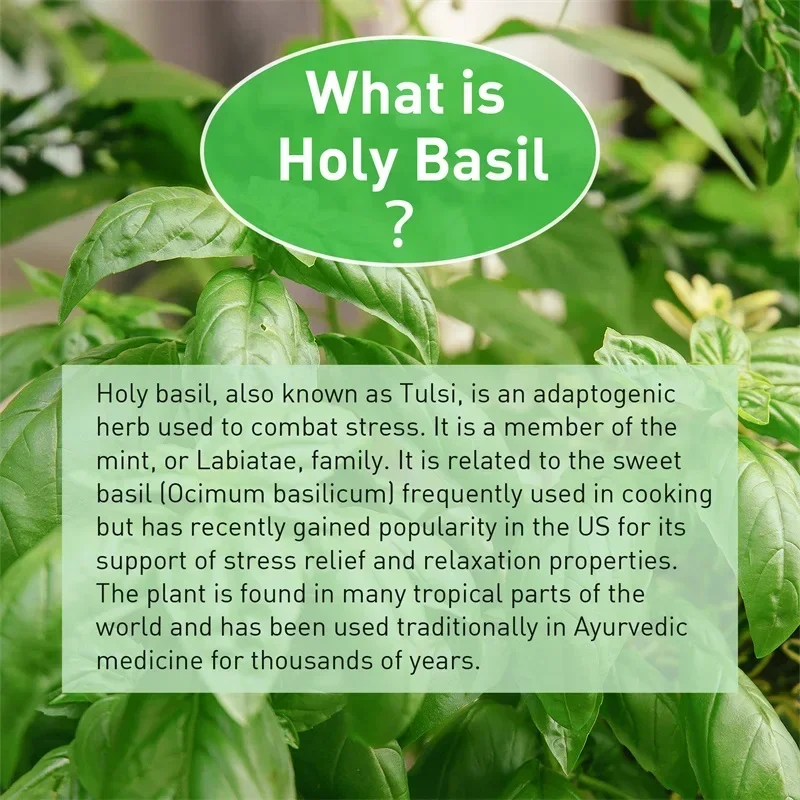 ホーリーバジルカプセル - 免疫力を高め、ストレスを軽減し、 - Tulsi Holy Basil のレビューと価格