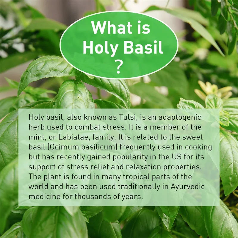 ホーリーバジルカプセル - 免疫力を高め、ストレスを軽減し、 - Tulsi Holy Basil のレビューと価格
