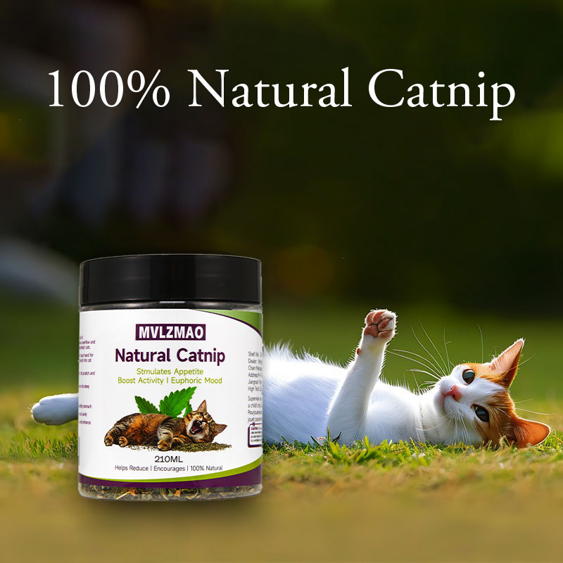 猫のおもちゃ - 猫用マタタビマタタビ、100% 天然マタタ - Herbal Wellness Supplement のレビューと価格